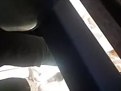 Խցիկ հասուն