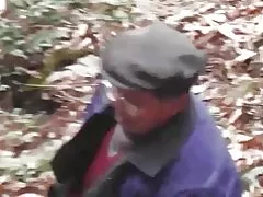 Անտառ շարքը - վայրի անտառ